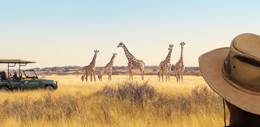 Études du parc animalier engagées